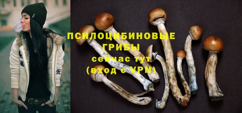 Галлюциногенные грибы MAGIC MUSHROOMS  Надым 